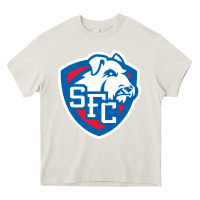 St. Francis Brooklyn Terriers Heavy Core Tee | Teevron