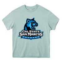 Arona The cal state san marcos cougars Heavy Core Tee - linhVisuals