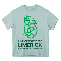 Arona ul  university of limerick Heavy Core Tee - linhVisuals