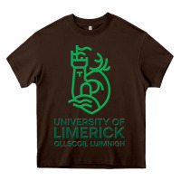 Chocolate Brown ul  university of limerick Heavy Core Tee - linhVisuals