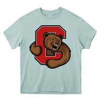 Arona cornell Heavy Core Tee - linhVisuals