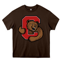 Cornell Heavy Core Tee | Teevron