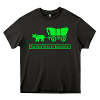 Asphalt you have died of dysentery oregon trail Heavy Core Tee - linhVisuals