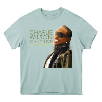 Arona Charlie Wilson Heavy Core Tee - linhVisuals