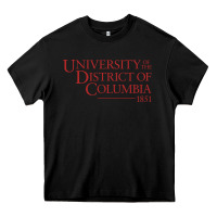 Black University of the District of Columbia Heavy Core Tee - linhVisuals