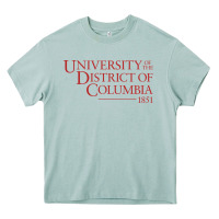 Arona University of the District of Columbia Heavy Core Tee - linhVisuals