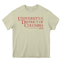 Mossy University of the District of Columbia Heavy Core Tee - linhVisuals