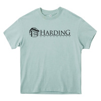 Arona Harding University Heavy Core Tee - linhVisuals