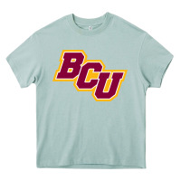 Arona bethune cookman Heavy Core Tee - linhVisuals
