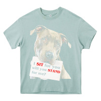 Arona pitbull t  shirt i sit for you will you stand for me t  shirt Heavy Core Tee - linhVisuals