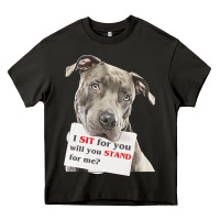 Asphalt pitbull t  shirt i sit for you will you stand for me t  shirt Heavy Core Tee - linhVisuals