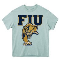 Arona fiu panthers Heavy Core Tee - linhVisuals