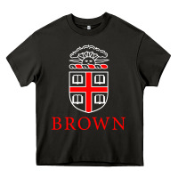 Asphalt brown university Heavy Core Tee - linhVisuals