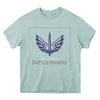 Arona suitable-st-battlehawks-worn Heavy Core Tee - linhVisuals