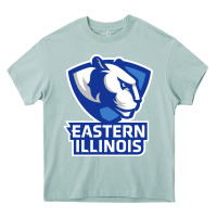 Arona eastern illinois panthers Heavy Core Tee - linhVisuals