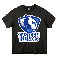 Asphalt eastern illinois panthers Heavy Core Tee - linhVisuals