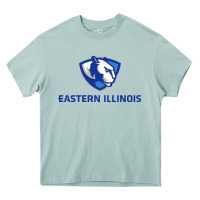 Arona eastern illinois panthers Heavy Core Tee - linhVisuals