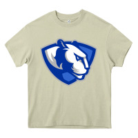 Eastern Illinois Panthers Heavy Core Tee | Teevron