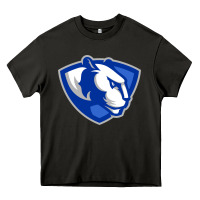Asphalt eastern illinois panthers Heavy Core Tee - linhVisuals