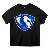 Eastern Illinois Panthers Heavy Core Tee | Teevron