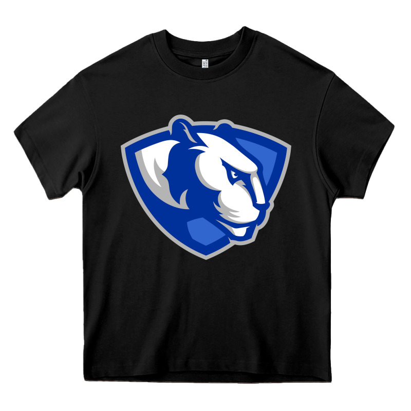 Eastern Illinois Panthers Heavy Core Tee by linhVisuals | Teevron