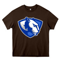 Chocolate Brown eastern illinois panthers Heavy Core Tee - linhVisuals