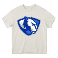 Cream eastern illinois panthers Heavy Core Tee - linhVisuals