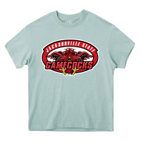 Arona jacksonville state gamecocks Heavy Core Tee - linhVisuals