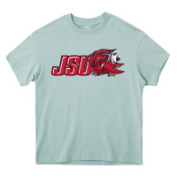 Arona jacksonville state gamecocks Heavy Core Tee - linhVisuals