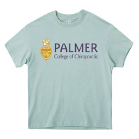 Arona college of chiropractic Heavy Core Tee - linhVisuals