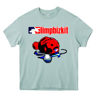 Arona limp bizkit 35 Heavy Core Tee - linhVisuals