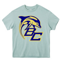 Arona battery creek high school, beaufort Heavy Core Tee - linhVisuals