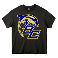 Asphalt battery creek high school, beaufort Heavy Core Tee - linhVisuals