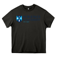Asphalt bob jones university, greenville Heavy Core Tee - linhVisuals