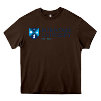 Chocolate Brown bob jones university, greenville Heavy Core Tee - linhVisuals