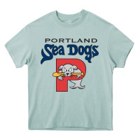 Arona sea dogs team Heavy Core Tee - linhVisuals