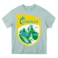 Arona kerry  gaa Heavy Core Tee - linhVisuals