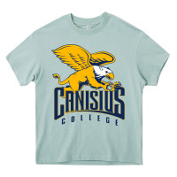 Arona canisius golden griffins Heavy Core Tee - linhVisuals