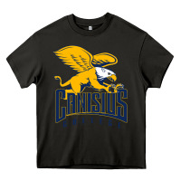 Asphalt canisius golden griffins Heavy Core Tee - linhVisuals