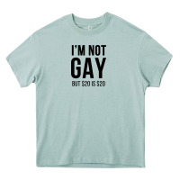 Arona i'm not gay but $20 is $20 (white) Heavy Core Tee - linhVisuals