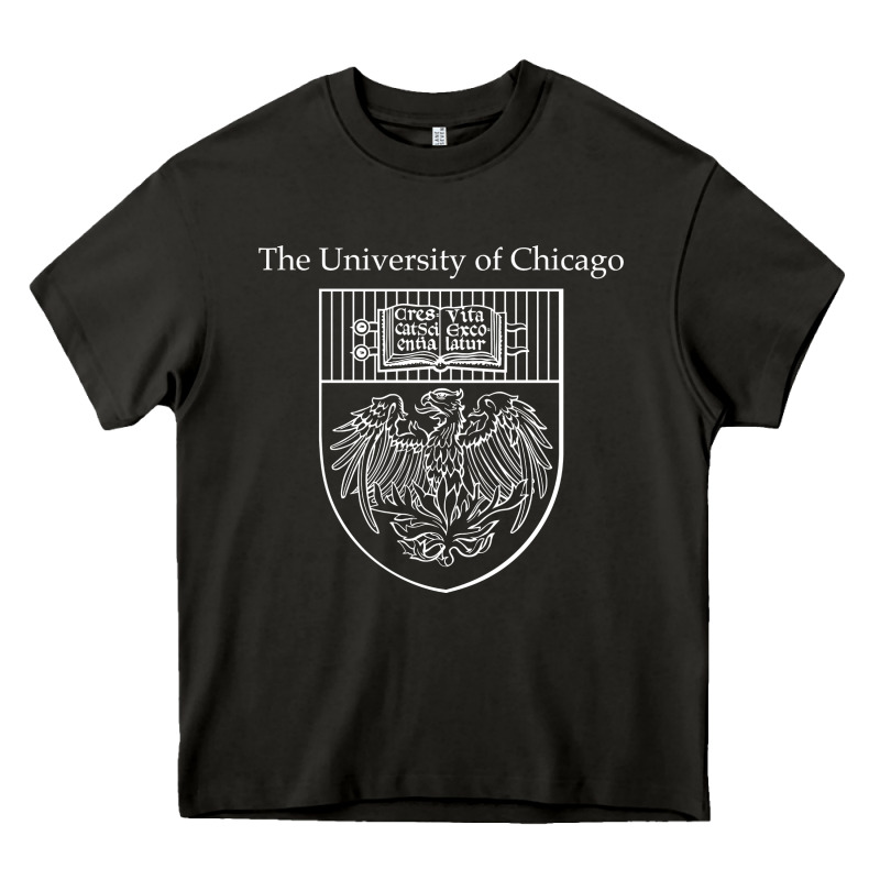 Chicago Heavy Core Tee by linhVisuals | Teevron