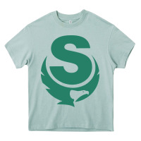 Arona minnesota state college southeast Heavy Core Tee - linhVisuals