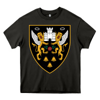 Asphalt the-northampton-saints-pen Heavy Core Tee - linhVisuals