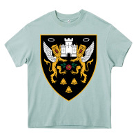 Arona the-northampton-saints-pen Heavy Core Tee - linhVisuals