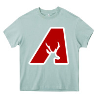 Arona avonworth high school Heavy Core Tee - linhVisuals