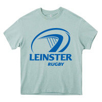 Arona the-leinster-rugby-pen Heavy Core Tee - linhVisuals