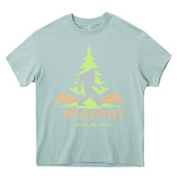 Arona bigfoot t  shirt bigfoot take me away t  shirt Heavy Core Tee - linhVisuals