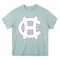 Arona holy cross crusaders Heavy Core Tee - linhVisuals