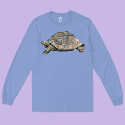 Tortoise Illustrations Long Sleeve Tee Designed By Lillyallendesigns