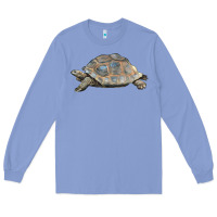 Colony Blue Tortoise Illustrations Long Sleeve Tee - LillyAllenDesigns